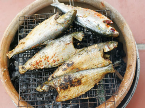 cá mòi sông thu nướng cá mòi sông thu nướng