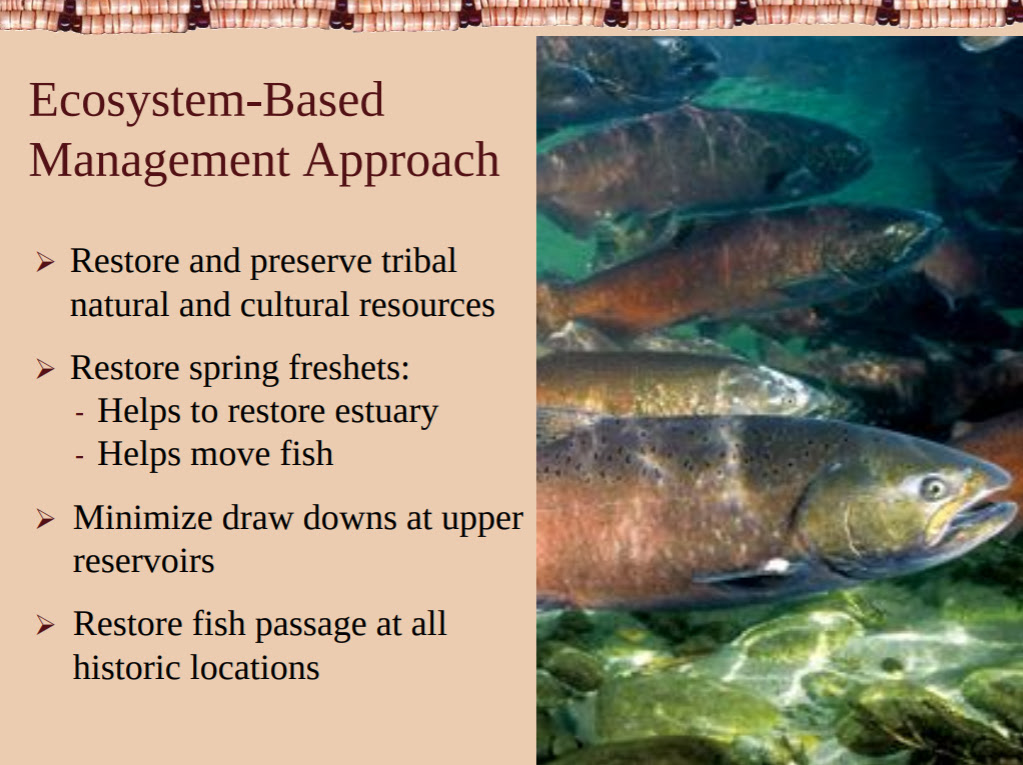 Ecosystem-based Management Approach