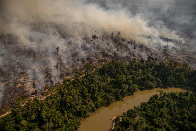 Imagem aérea de área queimada e desmatada na Resex Jacy-Paraná