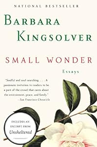 55% off a hopeful examination of the people we seem to be, and what we might yet make of ourselves...<br /><br />Small Wonder
