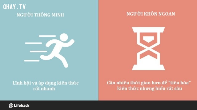 Về thu nạp kiến thức,khác biệt,người thông minh,người khôn ngoan