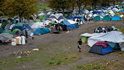 France Covid-19 exilés