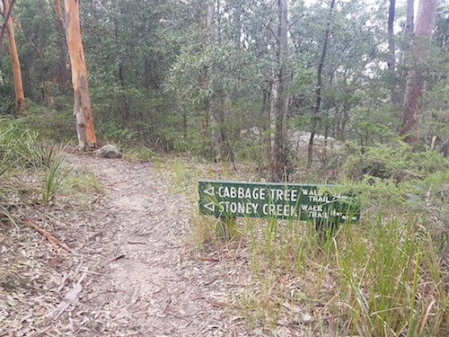 PIC8 Heading back from Banksia Picnic Area.jpg