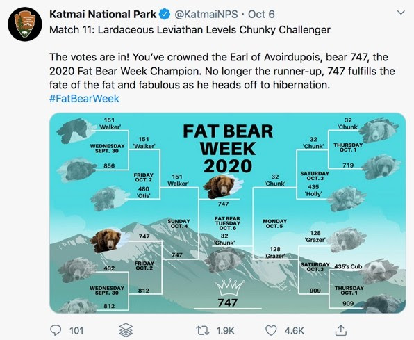 Fat Bear Week votes
