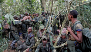 DR Congo: Muslims murder at least 40 civilians in string of jihad attacks on several villages