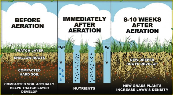 Benefits of Aeration – Kitts Creek HOA