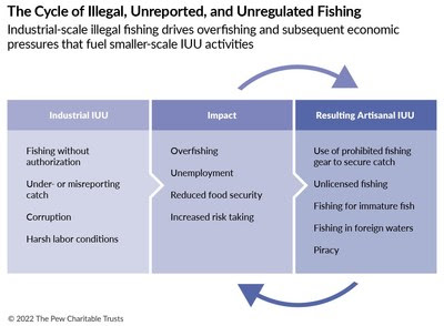 Industrial-scale illegal fishing drives overfishing and subsequent economic pressures that fuel smaller-scale illegal, unreported, and unregulated activities.