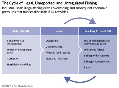 Industrial-scale illegal fishing drives overfishing and subsequent economic pressures that fuel smaller-scale illegal, unreported, and unregulated activities. Industrial-scale illegal fishing drives overfishing and subsequent economic pressures that fuel smaller-scale illegal, unreported, and unregulated activities.