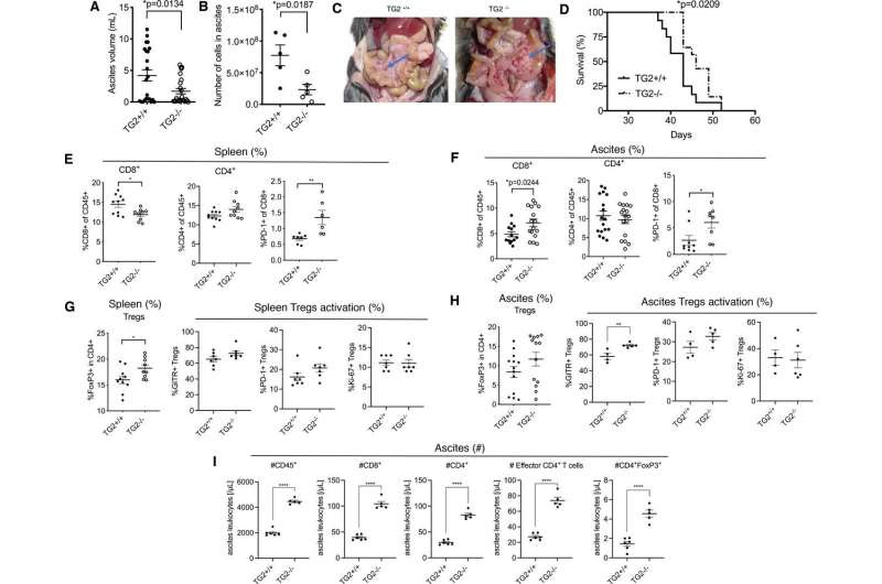 Anti-cancer inhibitor could have dual effect