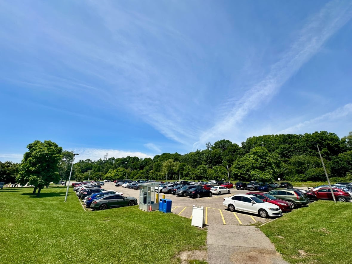 Parking lot with cars, grass and trees in background