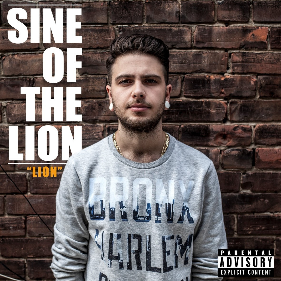 sine of the lion