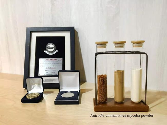 USFDA recognized Antrodia cinnamomea mycelia (NDIN No.1170) 2