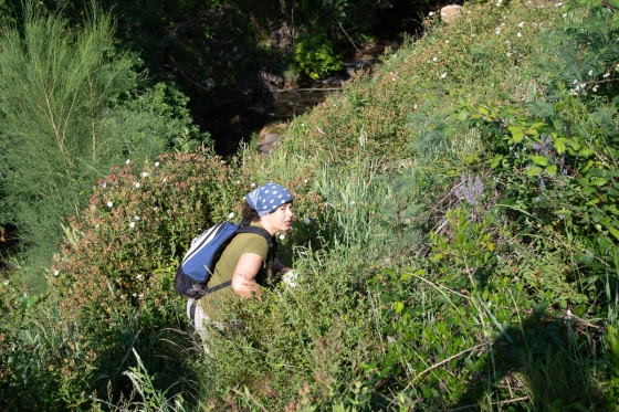 DSC_3244