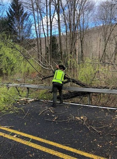 ECO wearing a reflective vest removes a large tree from the middle of the road