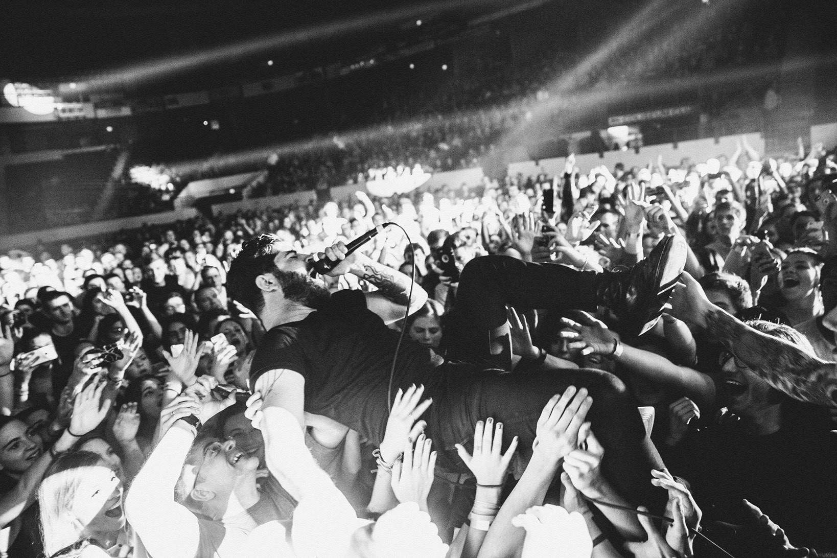 Foals Live