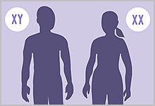 Silhouettes of a man and a woman showing the XY symbol next to the male and XX next to the female.