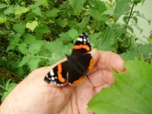 Holding infinity in the palm of my hand' once more..... Holding infinity in the palm of my hand' once more.....