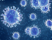 virus cells