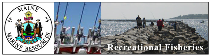 Maine DMR Recreational Fishing