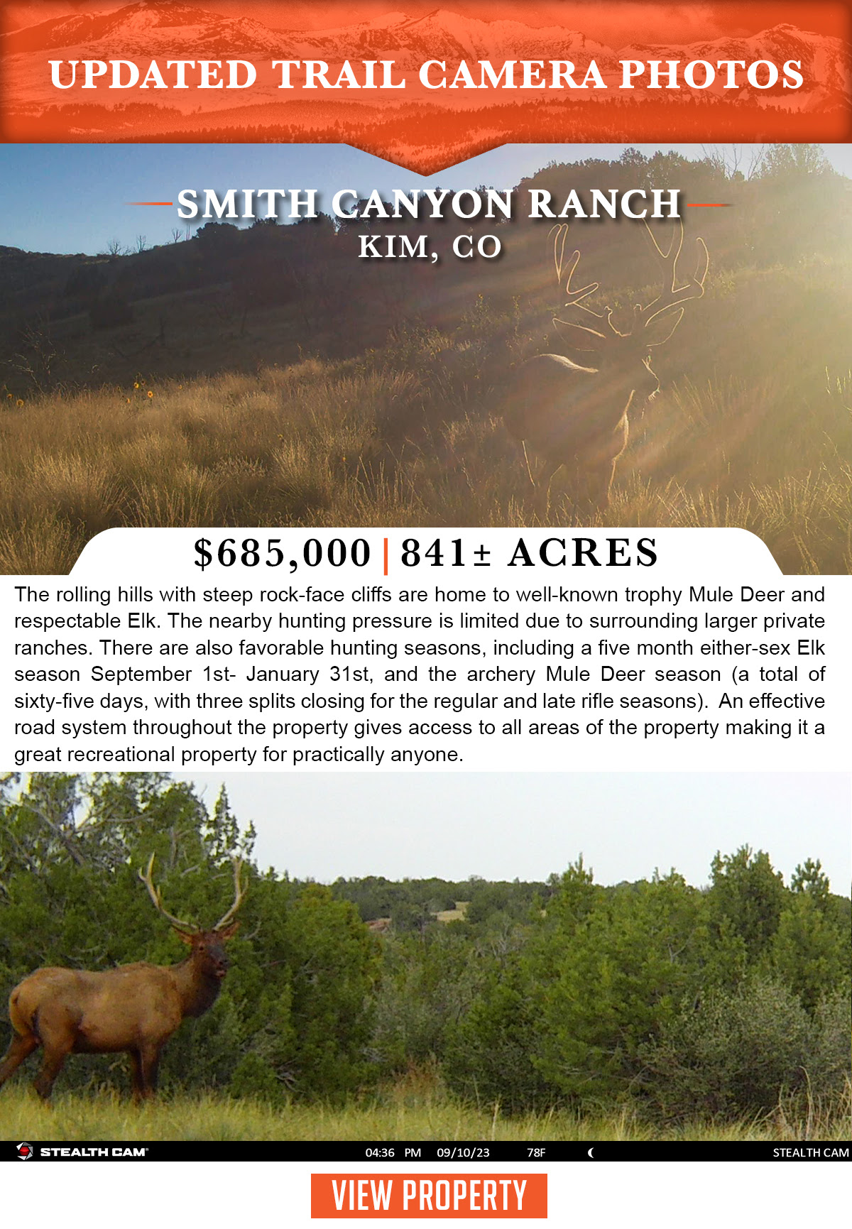 Updated Trail Camera Photos- Smith Canyon Ranch!
