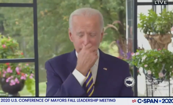 Pic of Biden rubbing nose again.