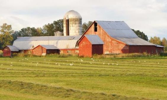 barn farm landscape