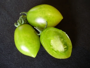 Green Envy cherry plum tomato