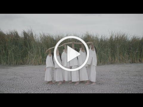 ANIMALS AS LEADERS - The Problem of Other Minds (Official Music Video)