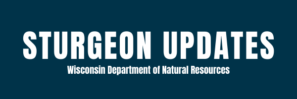 Graphic Header with text "Sturgeon Update Wisconsin Department of Natural Resources"