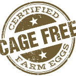 Certified Cage Free Farm Eggs