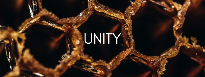 Gene Key 2 - Unity