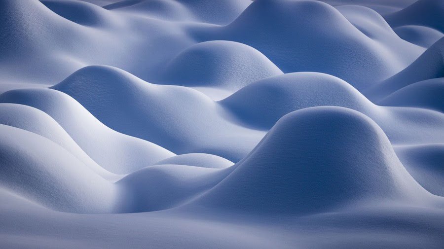 Deep snow covers the ground, forming lumpen shapes.