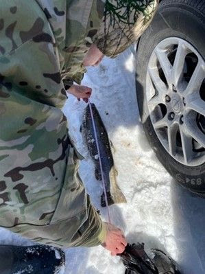 ECO measuring a fish in the snow