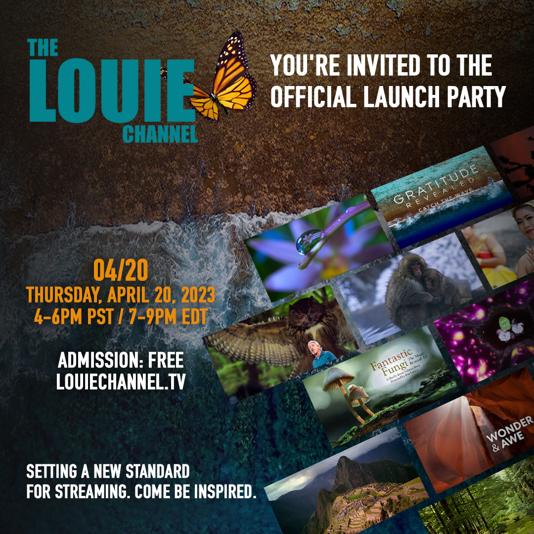 The Louie Channel Launch Party - You're invited!