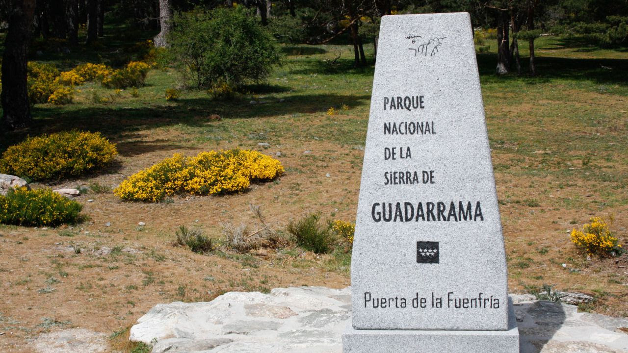 Solicitan al Ministerio
                                            para la Transición Ecológica
                                            que evite la desprotección
                                            de la Sierra de Guadarrama