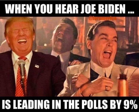 joe biden leads polls