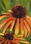 Orange Coneflowers - Posted on Wednesday, February 11, 2015 by Jessica Green