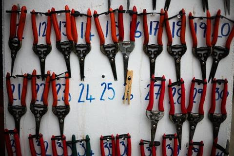 Secateurs with red handles in three horizontal rows with blue numbers behind them.