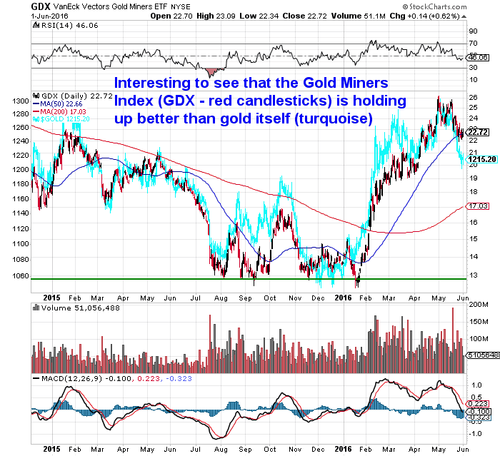 GDX Miners Index versus Gold Chart