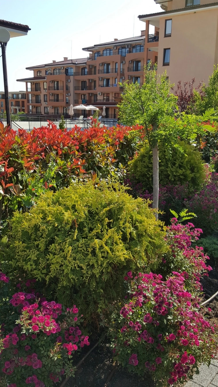 Азия. Вторник. Азия. Вторник.