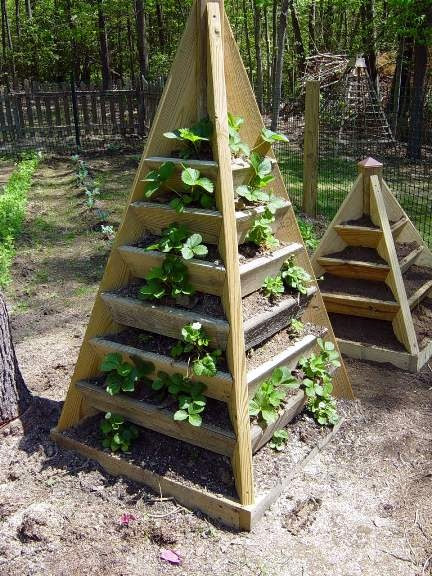 Turn a Small Space Into a Big Harvest  Pyramid-garden