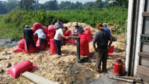 Las familias han hecho producir la tierra