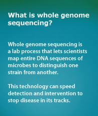 Scientists map entire DNA sequences of microbes using whole genome sequencing.