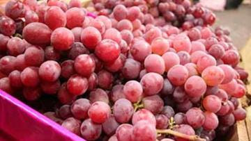Exportaciones peruanas de uvas crecen 11% en volumen y 20% en valor en la primera mitad de 2022