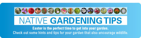 Gardening tips