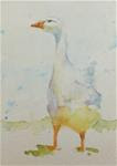 Little Goose - Posted on Tuesday, January 6, 2015 by Sue Churchgrant