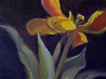 Yellow Tulip - Posted on Friday, April 10, 2015 by Joan Reive