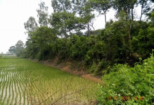 http://i577.photobucket.com/albums/ss214/Thanh50_2009/THANH%20CO%20LOA/ResizeofDSCN2601_zpsd76dd8b3.jpg