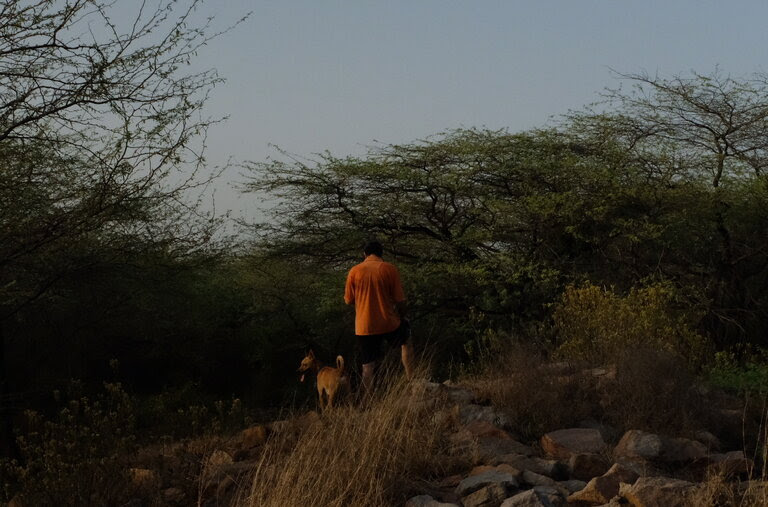 K., a robotics engineer, in Sanjay Van, a sprawling forest in Delhi, India, in March of 2021. He’s with Rebel, the writer’s dog.