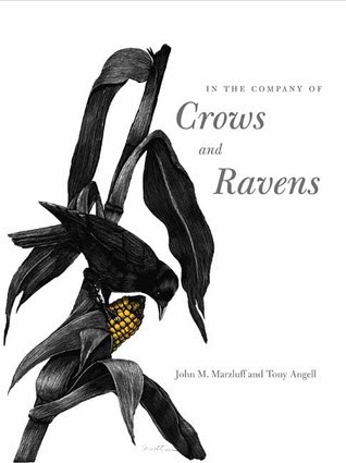 In the Company of Crows and Ravens PDF